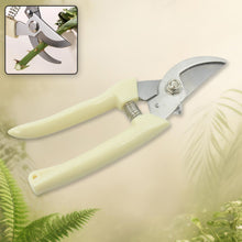 Stainless Steel Pruning Shears with Sharp Blades and Comfortable handle (1 Pc)