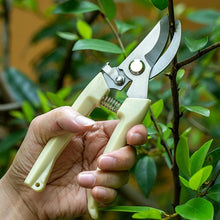 Stainless Steel Pruning Shears with Sharp Blades and Comfortable handle (1 Pc)