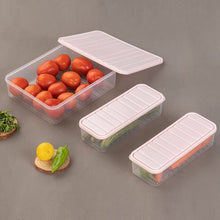 Plastic Food Storage Container for Fridge (3 Pcs set)