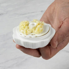 Garlic Press Sharpener Manual Ginger Chili Garlic Crusher  Kitchen Use