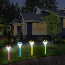 Solar Flower Garden Lights  Outdoor Decorative LED Lamp (2 Pc)