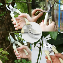 Stainless Steel Pruning Shears with Sharp Blades and Comfortable handle (1 Pc)