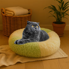 Ultra Soft Fluffy Pet Bed for Cats & Small Dogs  1 Pc
