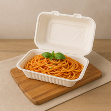 FresheeClamshell Takeaway Compostable Bagasse Food Box 9x6x3 Inch  10 Pcs Pack