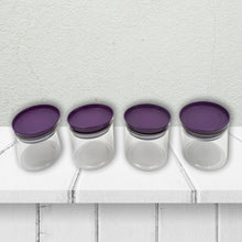 Airtight Plastic 4 Pc Storage Container Set, With Storage Container