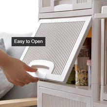 Multipurpose Storage Cabinet (2 Layer)