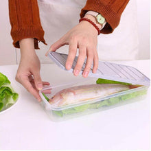 Plastic Food Storage Container for Fridge (3 Pcs set)