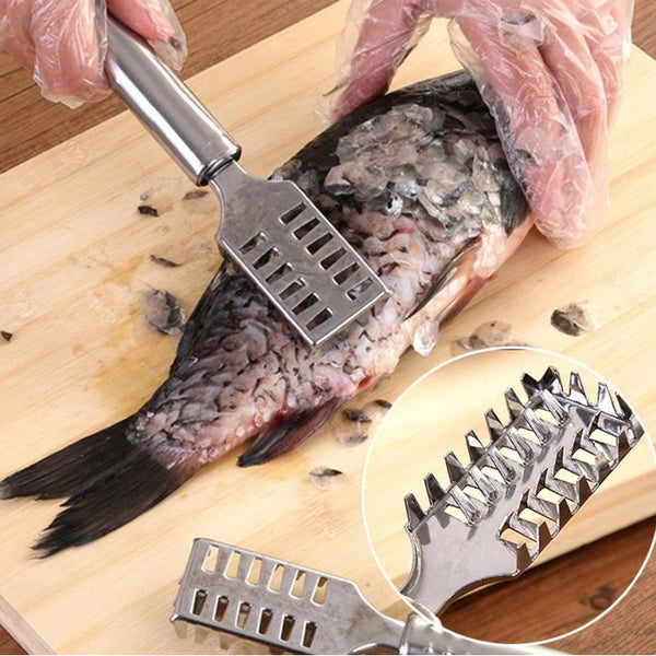 Stainless Steel Fish Scale Remover Scraper  Sawtooth Kitchen Tool