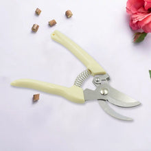 Stainless Steel Pruning Shears with Sharp Blades and Comfortable handle (1 Pc)