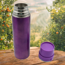 Stainless Steel Water Bottle  Leak Proof Gym Bottle (500 ML)