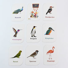 KidKraft Early Learner Educational Flashcards 32 Birds