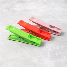 Cloth Clips Set of 12 Strong Grip Plastic Laundry Pegs with Stainless Steel