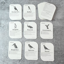 KidKraft Early Learner Educational Flashcards 32 Birds