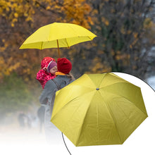 Vegetable shaped Folding Umbrella (1 Pc)