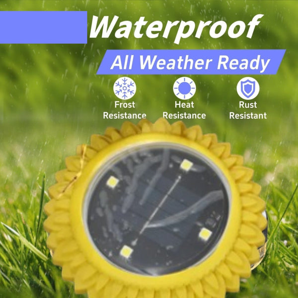 4 Pack Solar Ground Lights