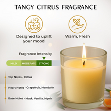 In'lief  Blueberry Soy-Blend Votive Candle Glass 50 gm (1 Pc)