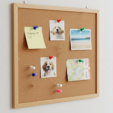Office Stationery Clips and Pins Combo (1 Set)